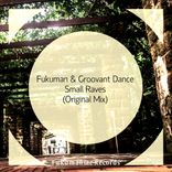 Artwork for "Small Raves"