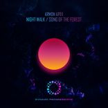 Artwork for "Night Walk"