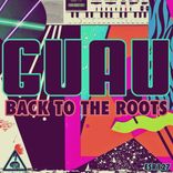 Artwork voor "Back To The Roots"