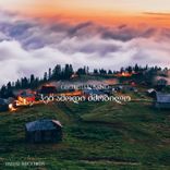 Ჰეი Ამოდი Ძმობილო