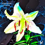 Artwork for "Tripledot"