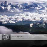 Artwork für "A Moment of Stillness in Flight"