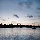 Portada para "Into Flow"