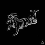 Artwork voor "Capricorn EP"