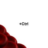 Artwork for "Odeon EP"