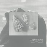 Artwork for "Dolphins in Ibiza"
