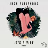 Artwork voor "It's a Vibe"