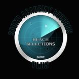 Artwork for "Beach Selections"