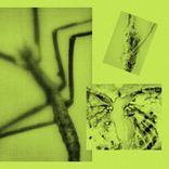 Artwork for "This Ain't Pop (Though It Could)"