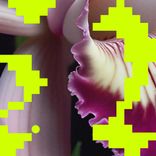 Artwork für "Erosie (Gregor Tresher Remix)"