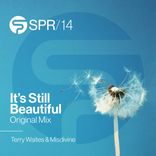 Artwork for "It's Still Beautiful"