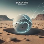 Portada para "State Of Shock"