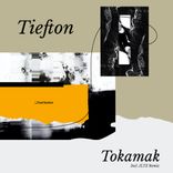 Artwork for "Tokamak"