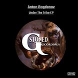 It's All About The Boogie