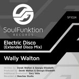 Portada para "Electric Disco"