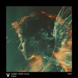 Artwork for "Крылья"