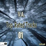 Artwork for "Top Rated Tracks 01"