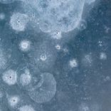 Artwork for "Pulses"