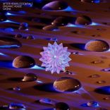 Portada para "After Hours Essentials Organic House SHONA"