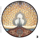 Artwork für "Pavo Real"