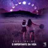 Artwork for "O Importante da vida"
