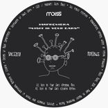 Portada para "Visit In Your Ears"