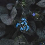 Artwork for "Evolution"