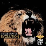 Artwork voor "Evolution"