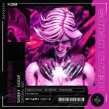 Artwork for "Shibby Shake"