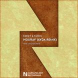 Artwork for "Nouray (AYDA Remix)"