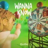 Artwork for "Wanna Know"