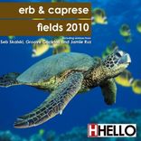 Artwork voor "Fields 2010"