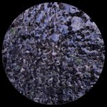 Artwork voor "Solitary State"