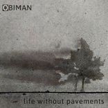 Artwork für "Life Without Pavements"