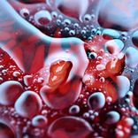 Portada para "Saimin"