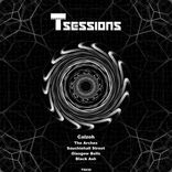 Artwork for "T Sessions 30"