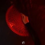 Portada para "Quiero Sentir"