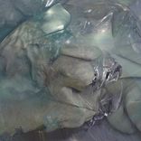 Portada para "Sonic Reader (Single)"