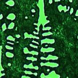 Artwork für "Decoded"