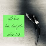 Artwork for "Aflo Head"