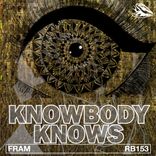 Artwork for "Knowbody Knows"
