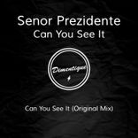 Artwork for "Can You See It"