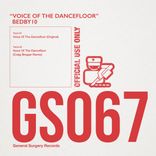 Voice Of The Dancefloor