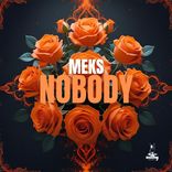 Artwork for "Nobody"