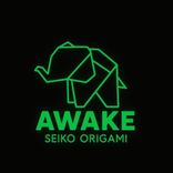 Awake