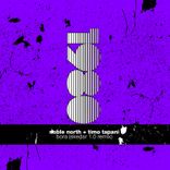 Artwork voor "Bora (Skedar 1.0 Remix)"