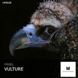 Artwork for "The Vulture"