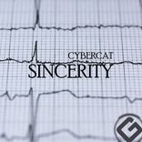 Artwork for "Sincerity"