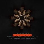 Carrying a Stone in Your Heart