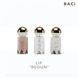 Portada para "Begun"